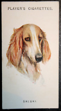 Saluki vintage 1929 for sale  DERBY