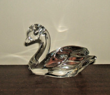 Princes house pets for sale  IPSWICH