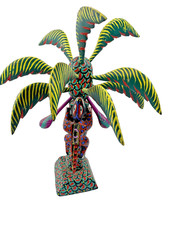Lizard climbing tree for sale  Fort Lauderdale