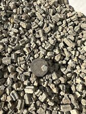 Jurassic crinoid stars for sale  BRIDPORT
