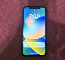 Iphone 256 apple usato  Napoli