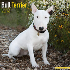 Calendrier 2016 bull d'occasion  Troyes