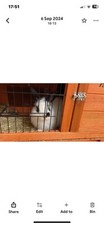 Pawhut rabbit hutch for sale  SALFORD