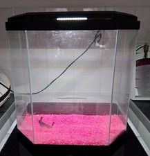 Large hexagon glass for sale  CLACTON-ON-SEA