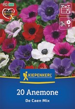 Kiepenkerl kronen anemonen gebraucht kaufen  Aurich