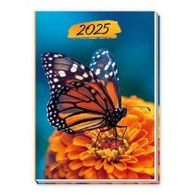 Trötsch taschenkalender schme gebraucht kaufen  Berlin