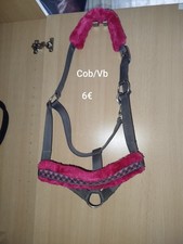 Pferde halfter cob gebraucht kaufen  Calbe (Saale)