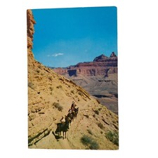 Postcard mule train for sale  Saint Louis
