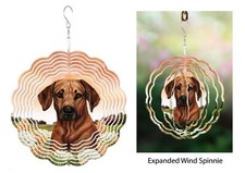 Rhodesian ridgeback wind usato  Spedire a Italy