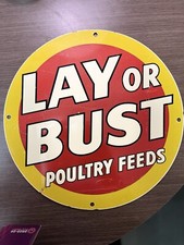 Lay bust poultry for sale  Waterford