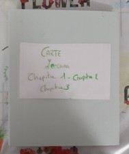 Classeur carte lorcana d'occasion  Arnèke