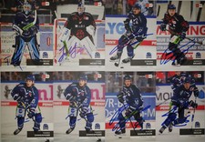 DEL Playercards podpisane 2024/2025 24/25 Straubing Tigers na sprzedaż  Wysyłka do Poland
