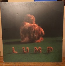 Lump lump promo for sale  Chicago
