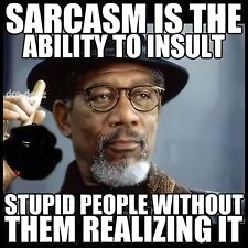Sarcasm stupid people for sale  Mamou