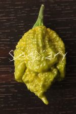 Pepper unofficial world usato  Cirie