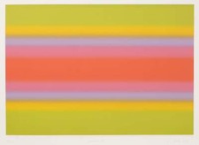 Barry Nelson,Paralax VI,Gravure À L'Eau-forte Avec Toile Lithographie Marche comprar usado  Enviando para Brazil