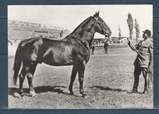 Cpsm 1960 faune d'occasion Cpsm 1960 faune d'occasion  Bourg-en-Bresse