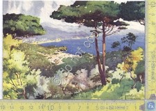 Cartolina postcard g.frattini usato  Milano