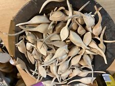 Chiselcraft wooden mice for sale  NEWTON ABBOT
