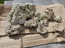 saltwater marine fish for sale  CHESTER