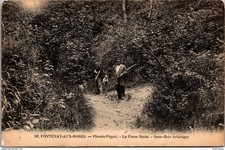 23056 postcard fontenay d'occasion  Expédié en Belgium