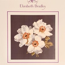 Elizabeth bradley anemones for sale  Edgecomb