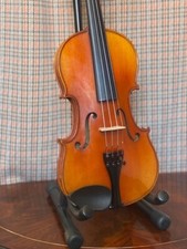 Dulcis fortis size for sale  NOTTINGHAM