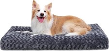 Ksiia washable dog for sale  Menasha