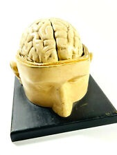 Science & Medicine (Pre-1930) for sale  Pratt