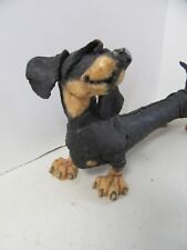 Breed apart dachshund for sale  Veneta