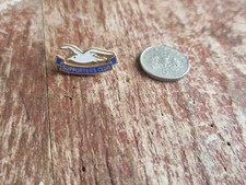 brighton badge for sale brighton badge for sale SMETHWICK