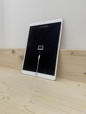 Ipad pro 256gb usato  Besana in Brianza