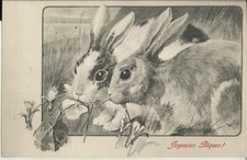 Gioiosa pasqua lotto usato  Campobasso