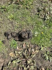 Fresh horse manure for sale  Amesville