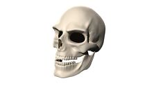 Maschera ghost rider usato  Firenze