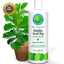 Liquid fertilizer ficus for sale  Dayton