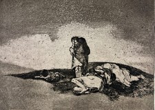 Francisco goya hay gebraucht kaufen  Eltville am Rhein