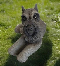 Schnauzer scottie terrier for sale  Caldwell