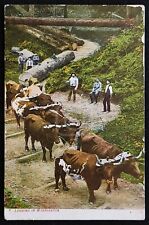 Early logging postcard for sale  Wilsonville