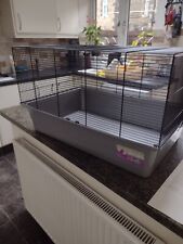 Large small rodent for sale  SKIPTON