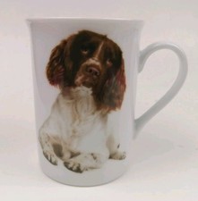springer spaniel for sale springer spaniel for sale Ireland