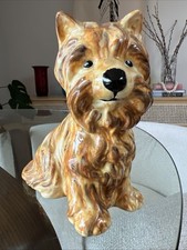 Yorkshire terrier dog for sale  Aptos