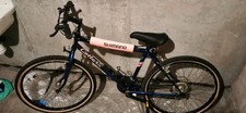 Vendo mountain bike usato  Trieste