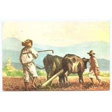 Cartolina messico arando usato  Spedire a Italy