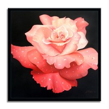 Rose print limited for sale  Miami