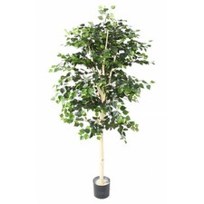 Bouleau artificiel pot d'occasion  France