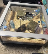 Coffee table guinea for sale  ILKESTON