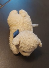 Niedliches kleines schaf gebraucht kaufen Niedliches kleines schaf gebraucht kaufen  Koblenz