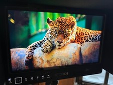 Monitor produzione smallhd usato  Spedire a Italy