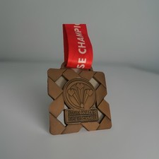 Bronze swim wales for sale  BROMSGROVE